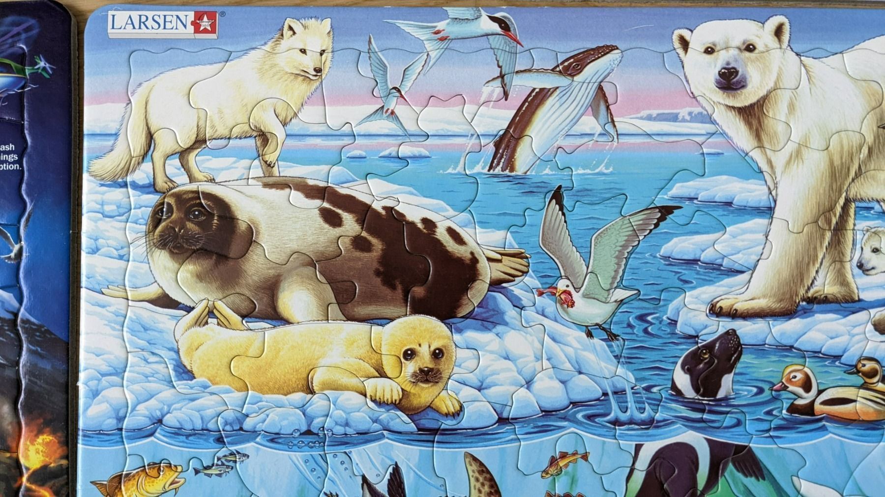 Puzzle: Larsen Puzzels -4 Stk – Usato da Zürich venduto da pisamun 6