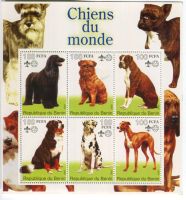 Block Berner Sennenhund,  Deutsche Dogge, Deutsche Boxer.