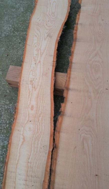 Articoli in legno: Eschen Holz – Nuovo (secondo la descrizione) da Grosswangen venduto da paluki 2