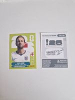 Panini Sticker ENG18