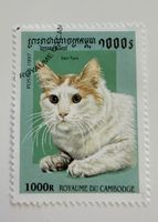 Briefmarke Katze Kambodscha 1000R POSTES 1997 Marke