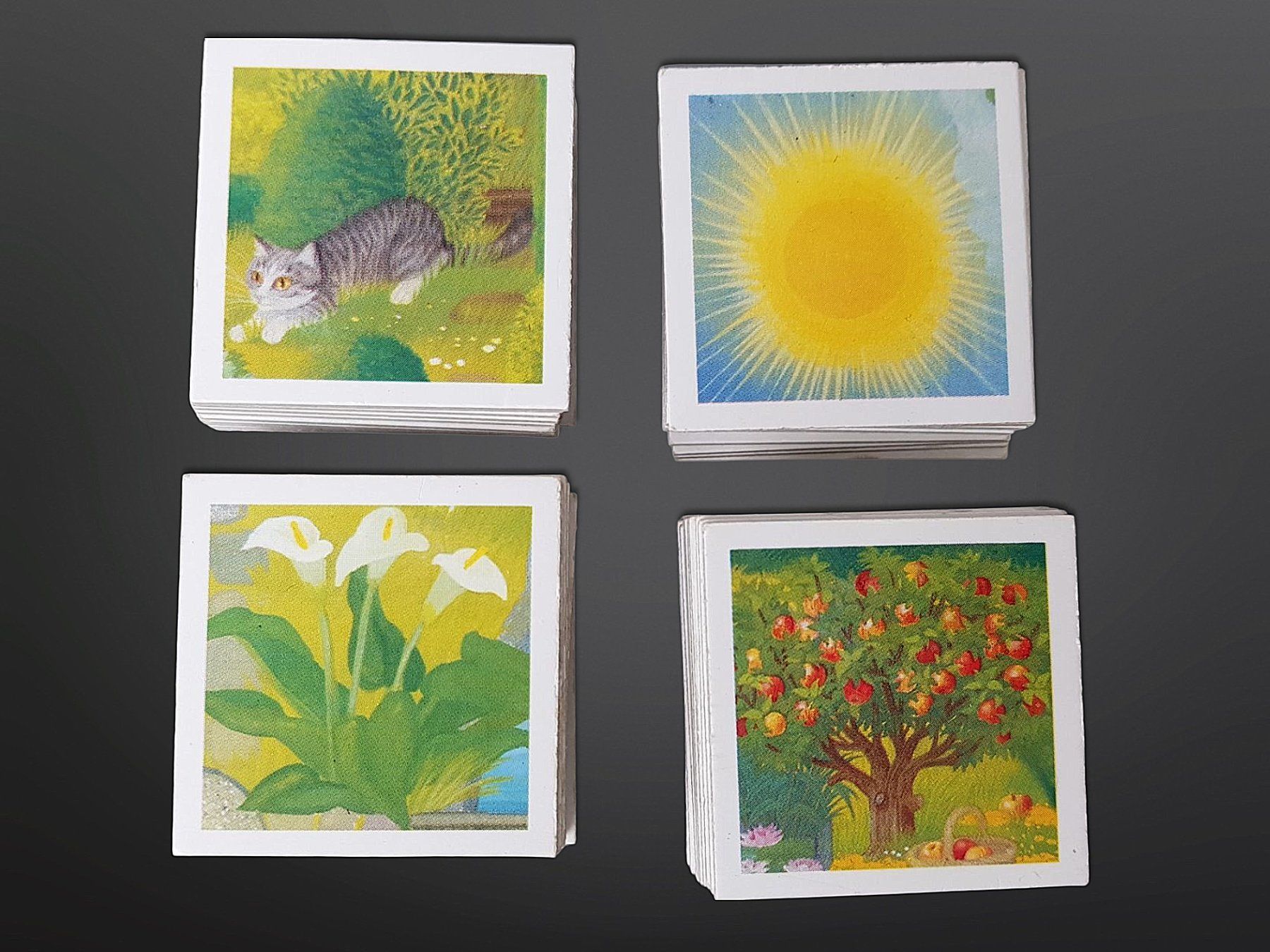 Ravensburger Giochi: RAVENSBURGER Rategarten – Usato da Suhr venduto da Restwert_Suhr 3