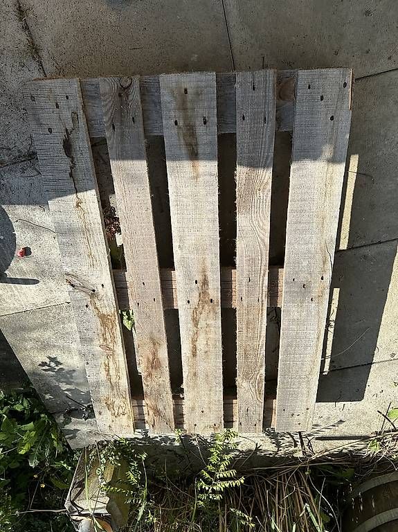 Pallets: Europalette – Usato da Geroldswil venduto da swolmuel