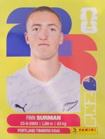 Panini FIFA World Cup NZL 9