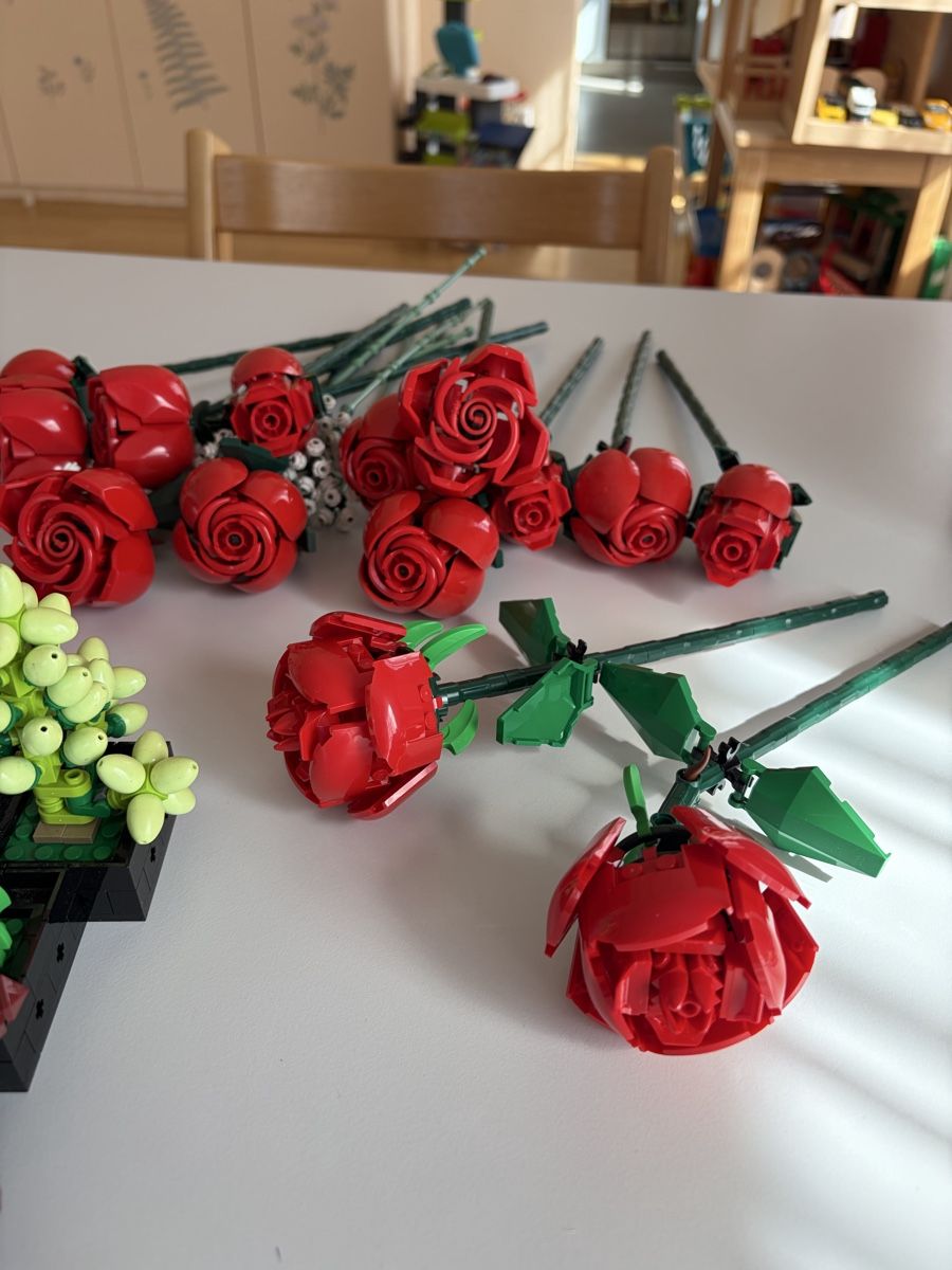 Lego Giocattoli: Lego Botanicals Diverse Blumen Set – Nuovo (secondo la descrizione) da Zürich venduto da powrpff 1