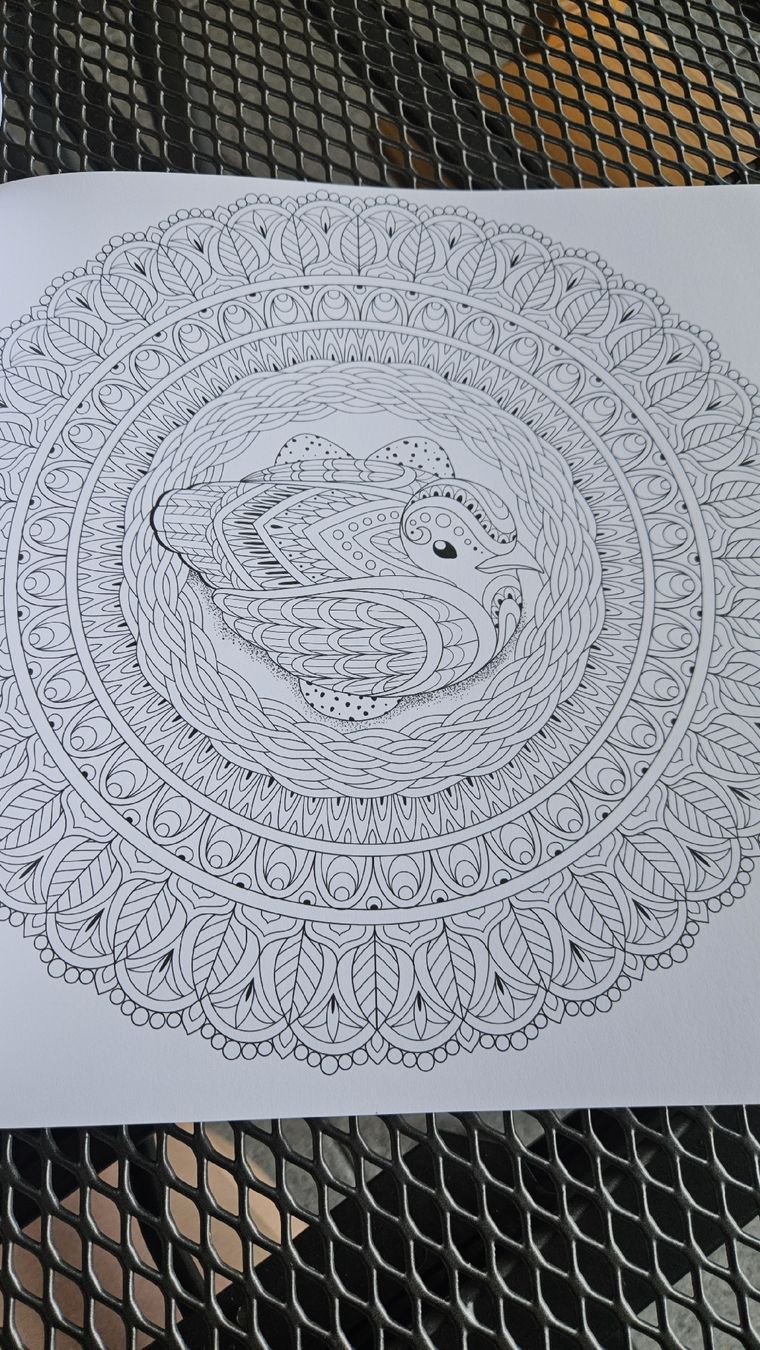 Libri: Malbuch Oiseaux Mes Mandalas Rustica Editions Neu – Nuovo (secondo la descrizione) da Rheinfelden venduto da Pinkysheep 1
