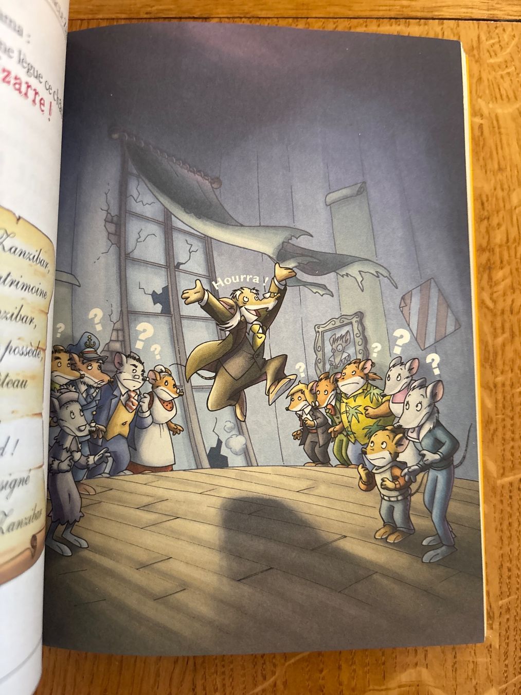 Libri: Geronimo Stilton: Retour à Castel Radin – Usato da Genève venduto da Livsonman 5