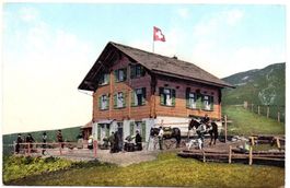 ADELBODEN Hotel Restaurant Hahnenmoos - Pferde
