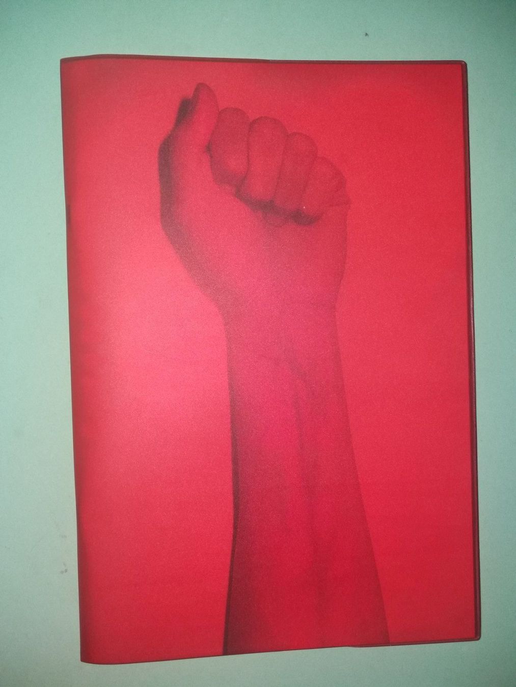 Libri: THOMAS Mailaender fotobuch – Usato da Welschenrohr venduto da Regool 1