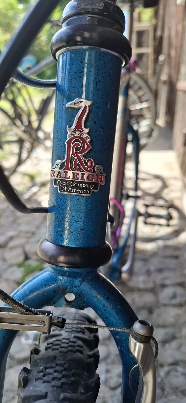 Raleigh Velos: Kult MTB Raleigh – Gebraucht aus Adliswil von trujillo01 1