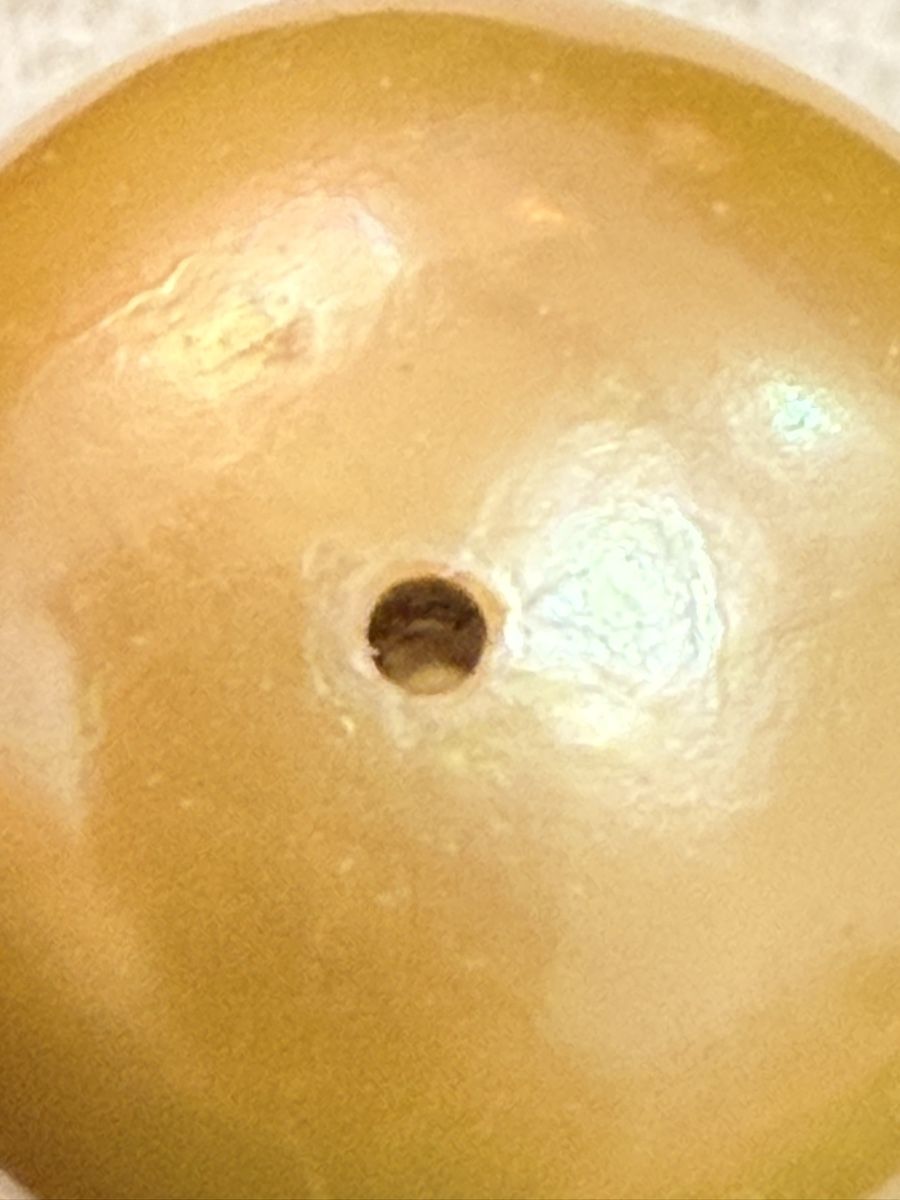Perle (finte): Echt Südsee Perlen Goldener Farbe – Nuovo (secondo la descrizione) da Oberhof venduto da RealStone 6