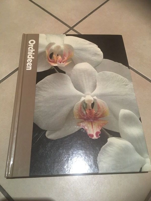 Libri: Orchideen Sachbuch Ratgeber – Nuovo (secondo la descrizione) da Bergdietikon venduto da book-4-you