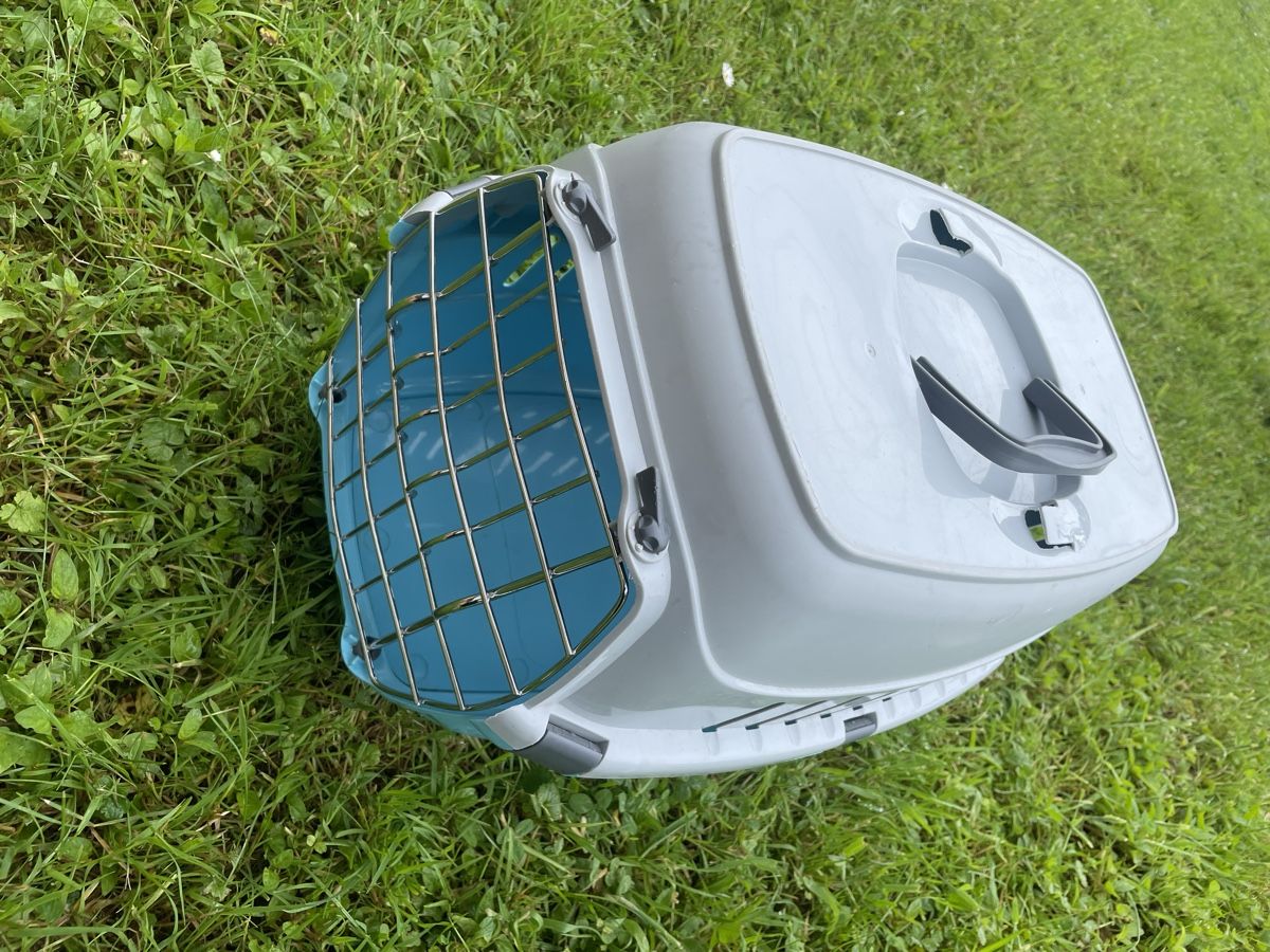 Altro in Decorazioni & Accessori: Katzen 🐈 BOX – Usato da Gutenswil venduto da Bregenzer8610