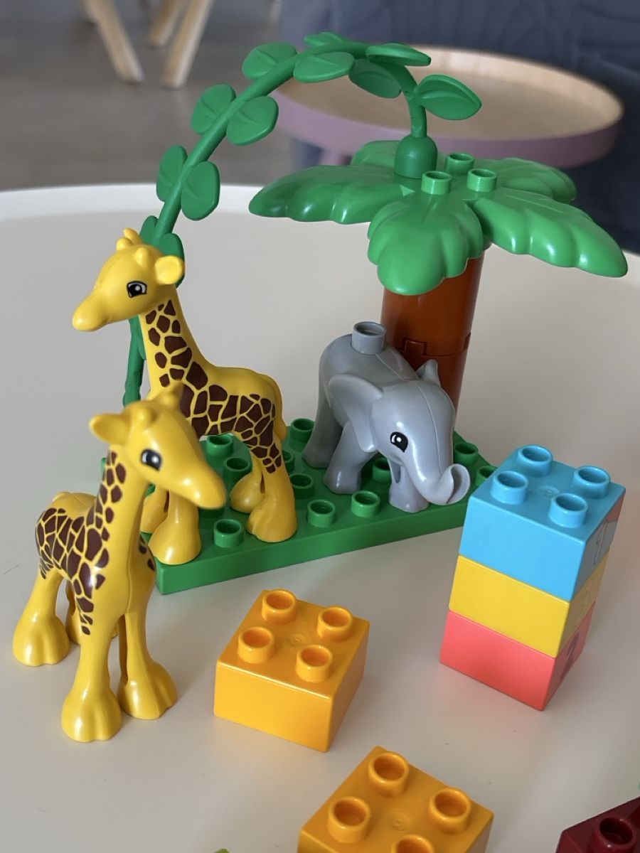 Lego Kit di costruzioni: LEGO Duplo animaux sauvages  – Usato da Lausanne venduto da pabernard 3