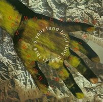 Simple Minds: This Is Your Land 7"