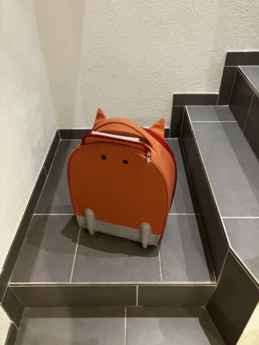 Samsonite Valigie: Sammis Koffer by Samsonite  – Usato da Full-Reuenthal venduto da oli21oli 3