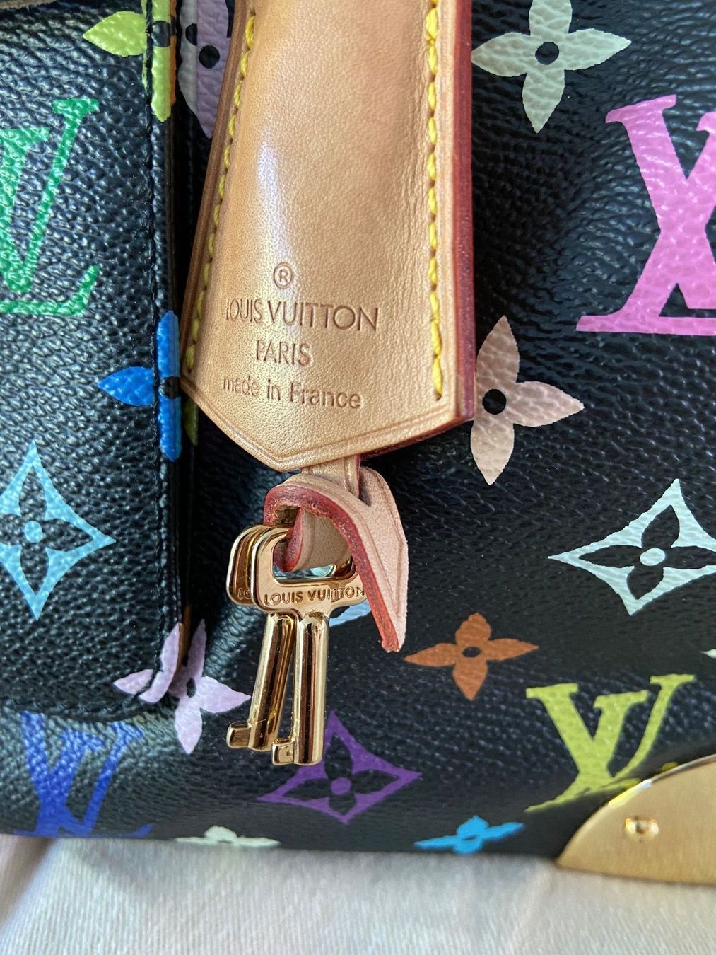 Louis Vuitton Borse da donna: Louis Vuitton Speedy Multicolore – Usato da Altendorf venduto da CyRoBi 9