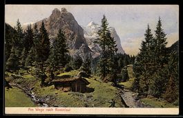 AK Rosenlaui, Am Wege, Waldstück, Hütte