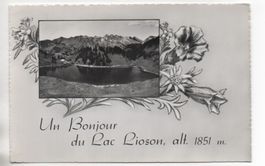 COL DES MOSSES Un Bonjour du Lac Lioson