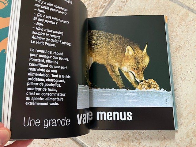 Libri: Le Renard – Usato da Les Ponts-de-Martel venduto da Jolisa 3