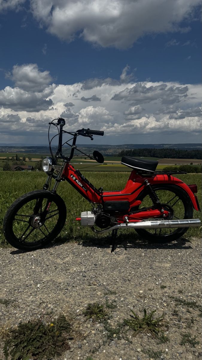 Puch Ciclomotori: Puch maxi S (mit ausweiss) – Nuovo (secondo la descrizione) da Hagenbuch ZH venduto da GianLivio 1