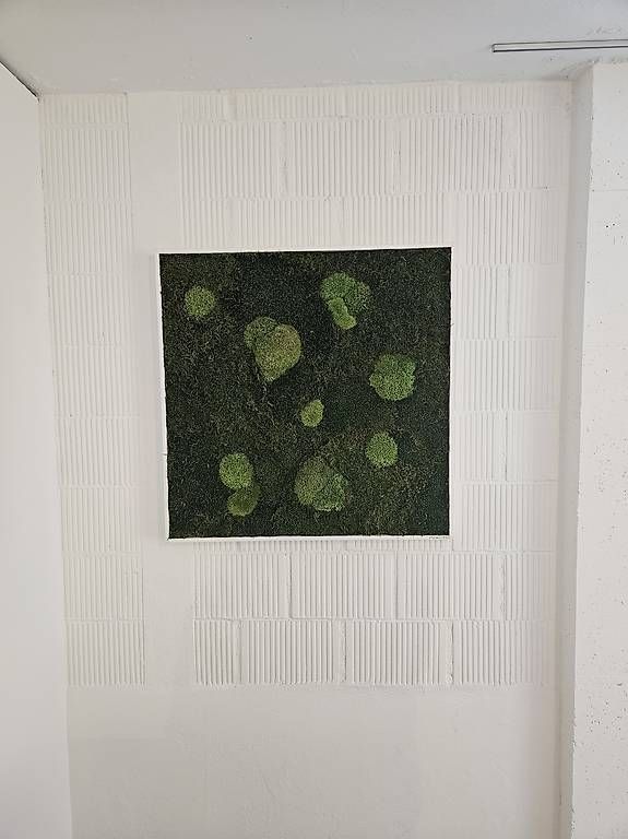 Tutte le decorazioni: Moosbild Wandbild aus Moos Kugelmoos 80x80 – Usato da St. Gallen venduto da Rvrs1979 3