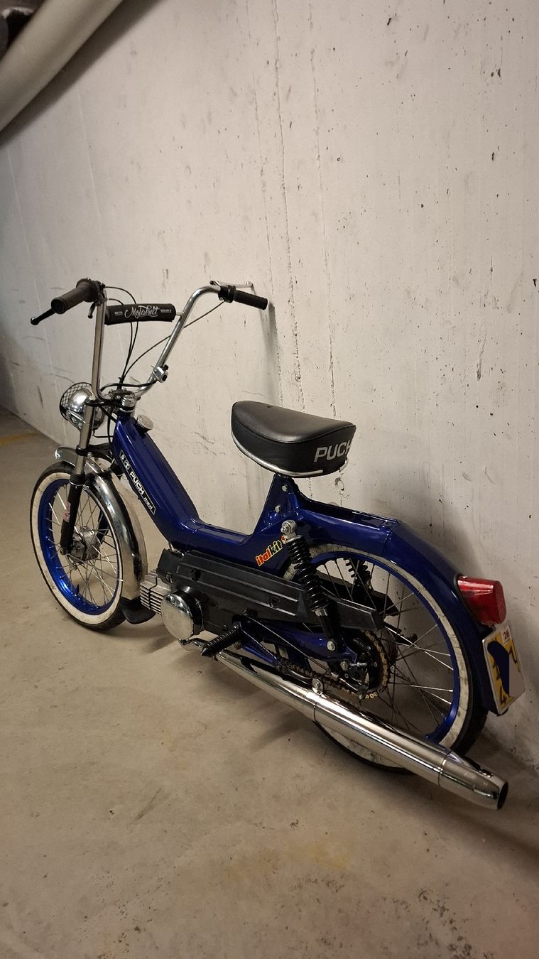 Puch Cyclomoteurs: Puch Maxi S – D'occasion à Luzern par Tim10 3