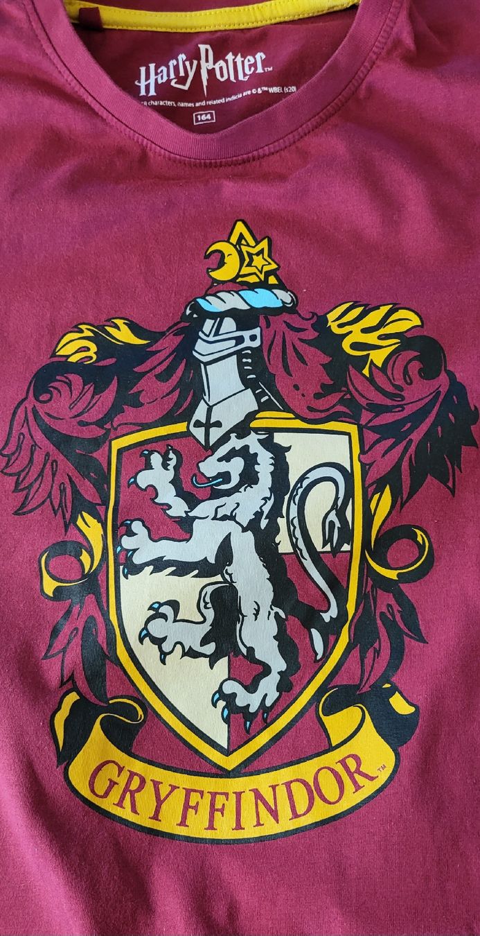 T-shirt: Harry Potter shirt 164 – Usato da Unterseen venduto da rej_lnk9 1
