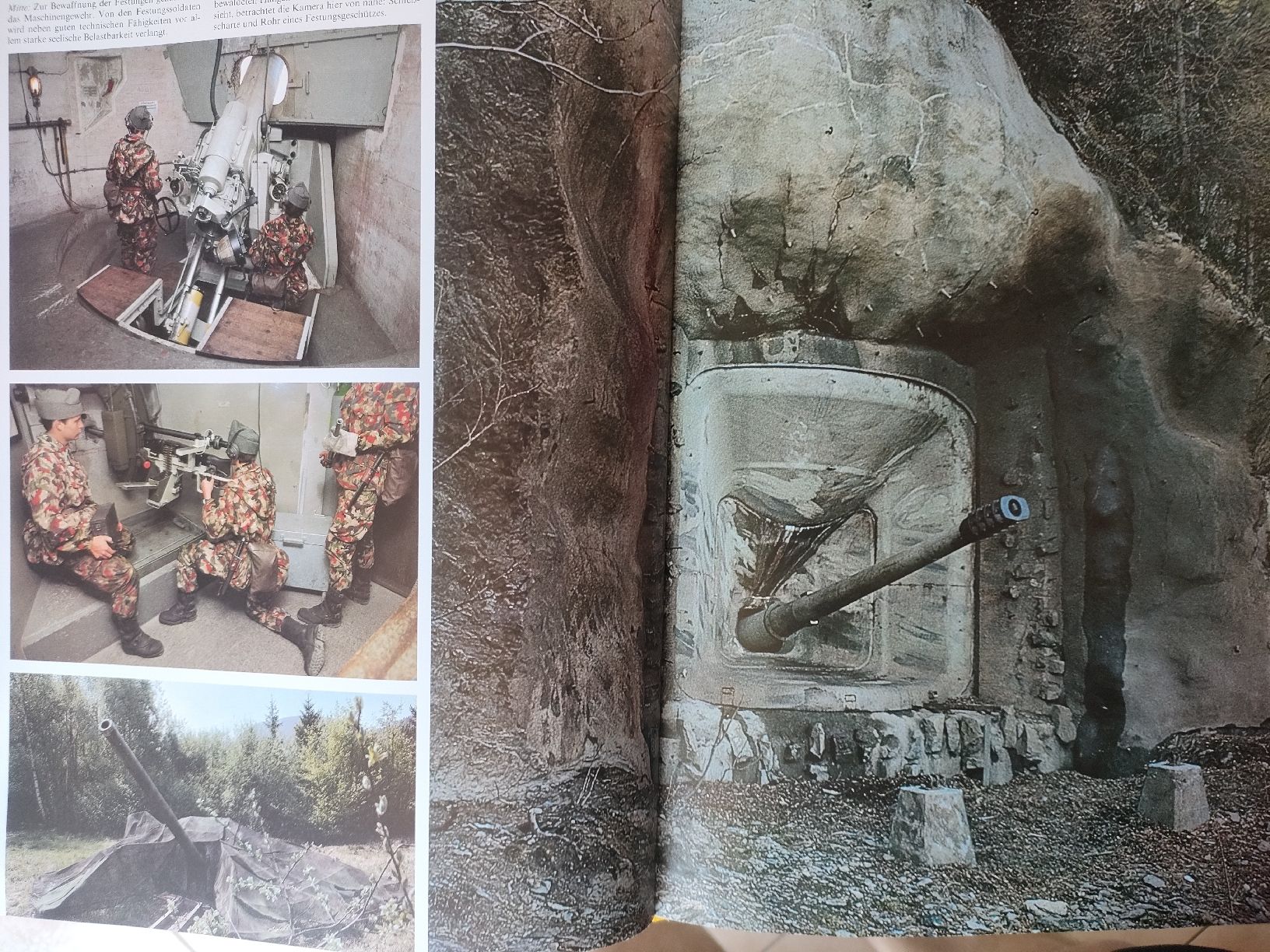 Libri: Schweizer Armee Militär Buch – Usato da Schwanden Sigrisw venduto da pho_2mc9 8