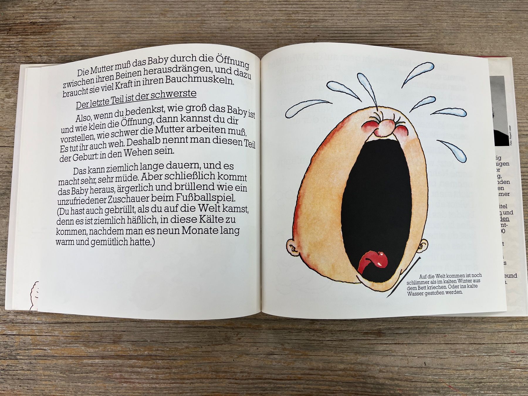 Libri: Aufklärung: Wo komm`ich eigentlich her? Dr. Thäddäus Troll – Usato da Pfäffikon ZH venduto da buresi 9