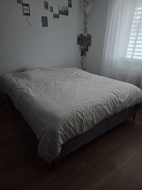 Letti: Boxspringbett Adel 160×200cm – Usato da Holziken venduto da m_t_lgh8