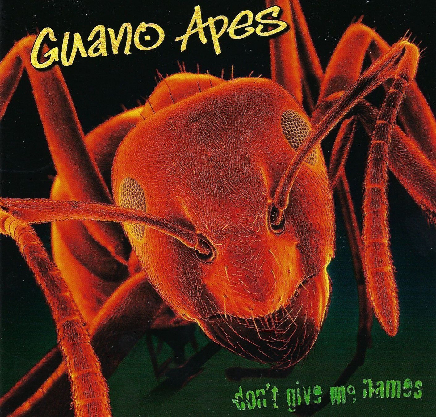 CD: CD - Guano Apes - Don't give me names – Usato da Rotkreuz venduto da groeli69