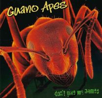 CD - Guano Apes - Don't give me names