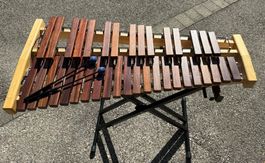 Xylophone Thomann THTX 3.0 débutant