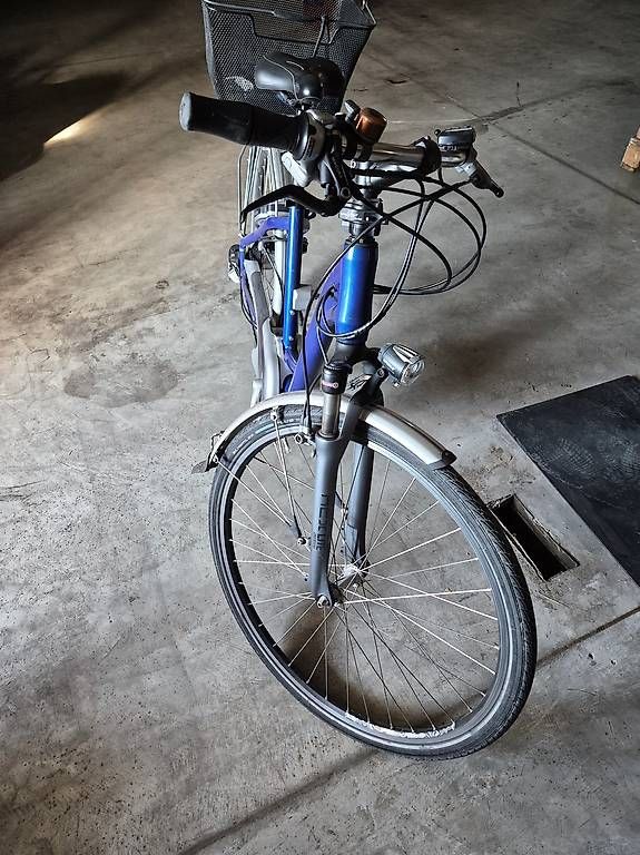 Biciclette: Flyer E Bike 36 V – Usato da Stäfa venduto da alexkraljevo 1
