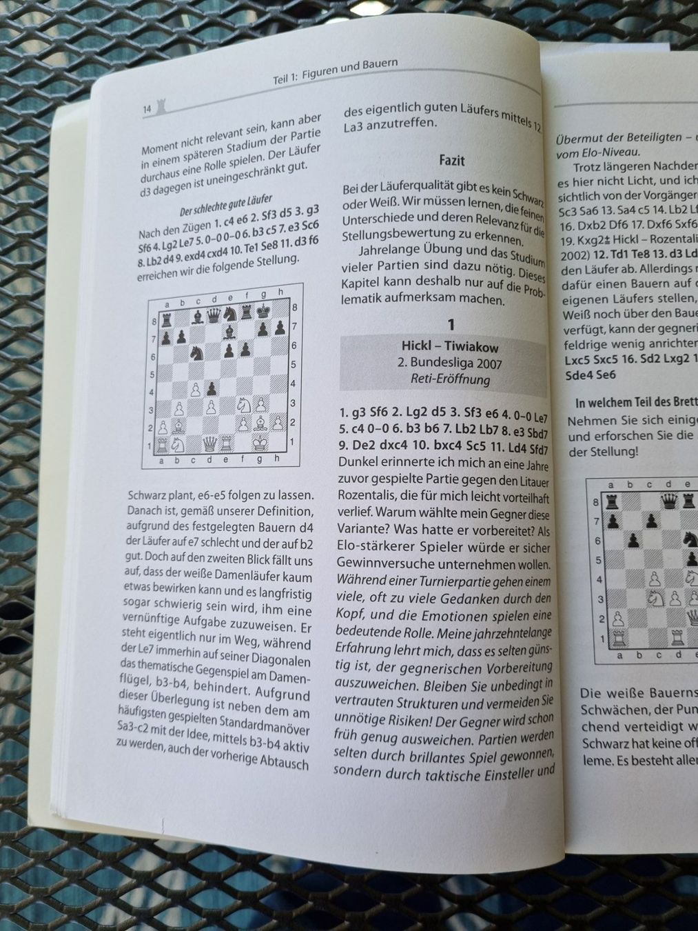 Libri: Schachbuch Die Macht der Bauern – Usato da Muttenz venduto da Langerochade 2