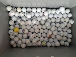 Palline golf/Golfbäll