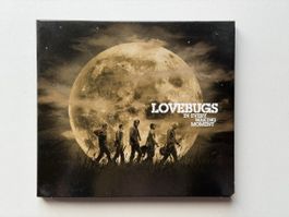 Lovebugs - In Every Waking Moment - CD - Top Zustand!