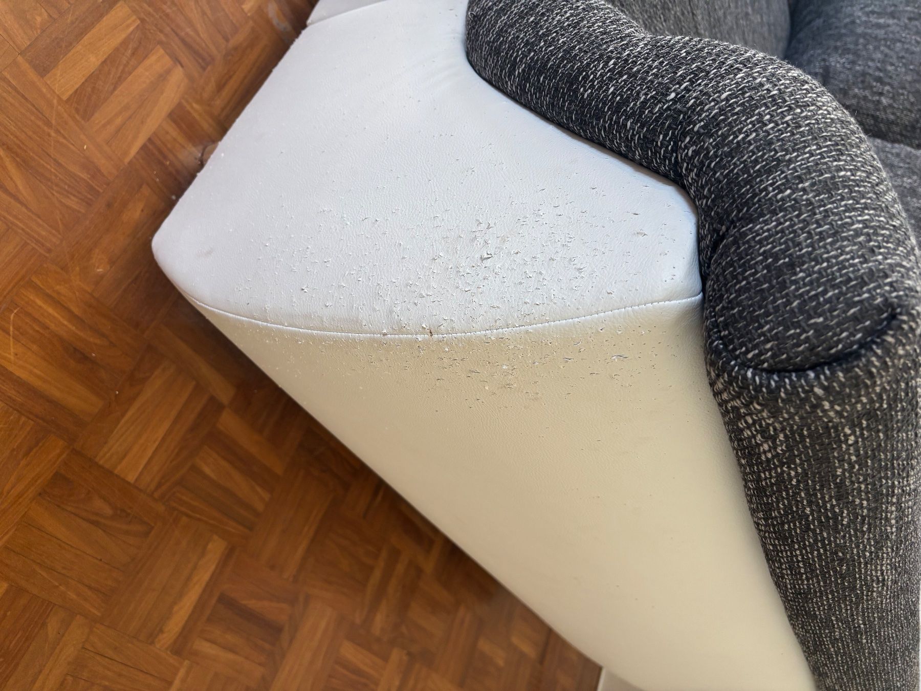 Divani: Sofa – Usato da Dornach venduto da Fargo27 2