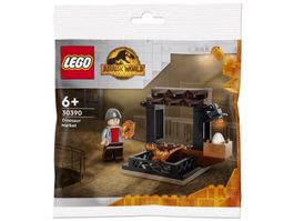 30390 Lego Jurassic World Dinosaurier - Markt POLYBAG