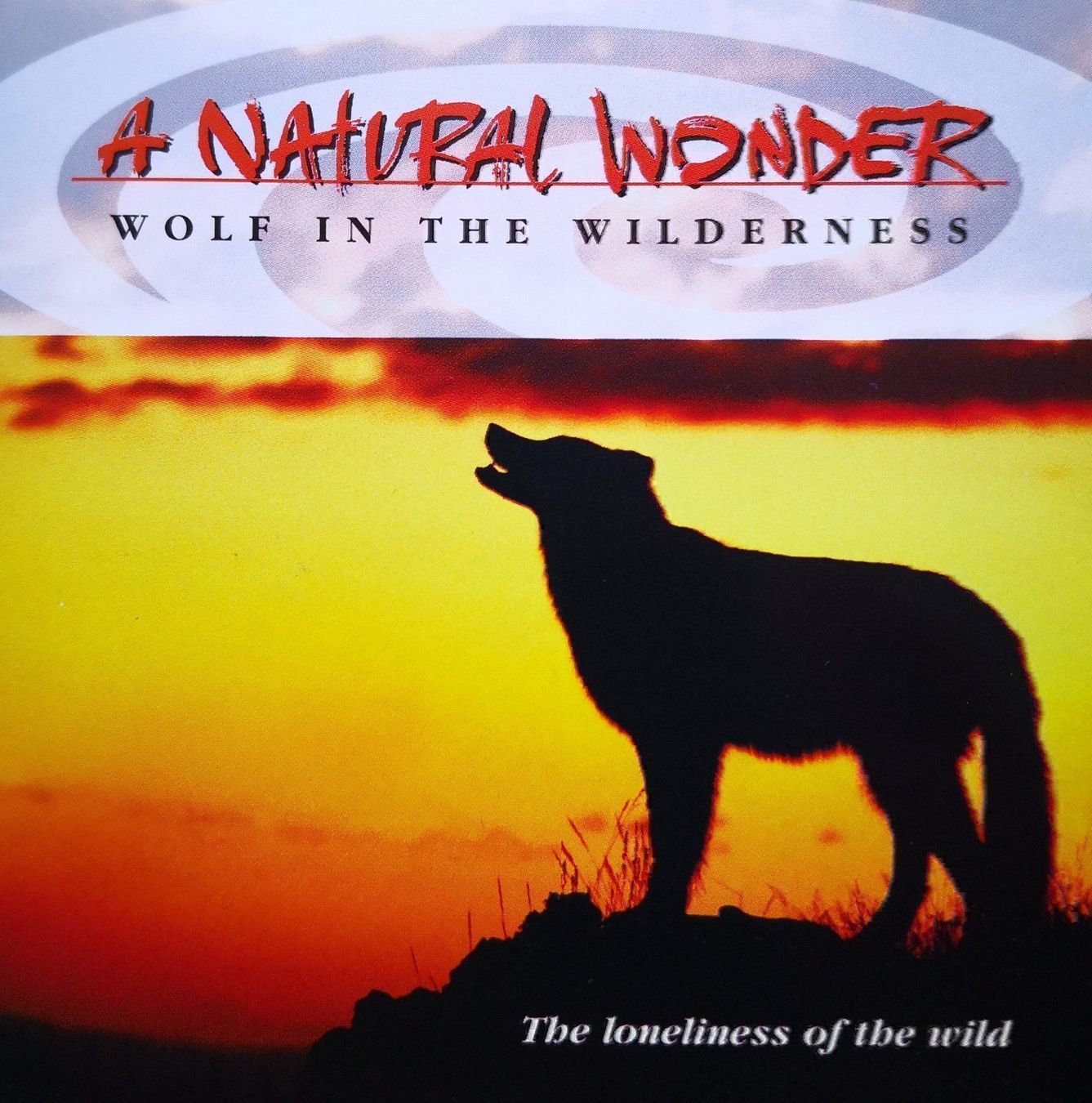 CD: A NATURAL WONDER - WOLF IN THE WILDERNESS - CD – Usato da Greifensee venduto da scharmant