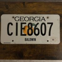 🇺🇸 U.S. Autoschild, Georgia CIE8607 - ORIGINAL
