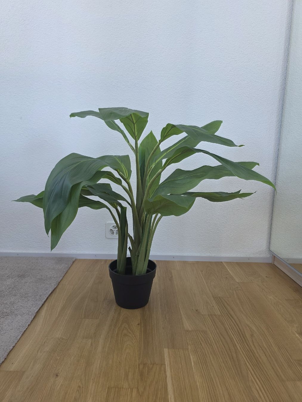 Pflanzen & Samen: Topfpflanze Kunstpflanze 85cm  – Gebraucht aus Schlieren von est_b2px
