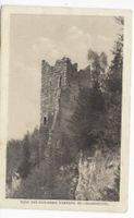 Ruine des Schlosses Ramswag bei Häggenschwil um 1914