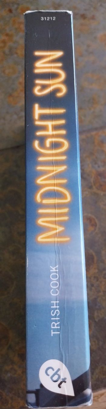 Bücher: Livre "Midnight Sun" de Trish – Neu (gemäss Beschreibung) aus Rolle von lst_95p5 2