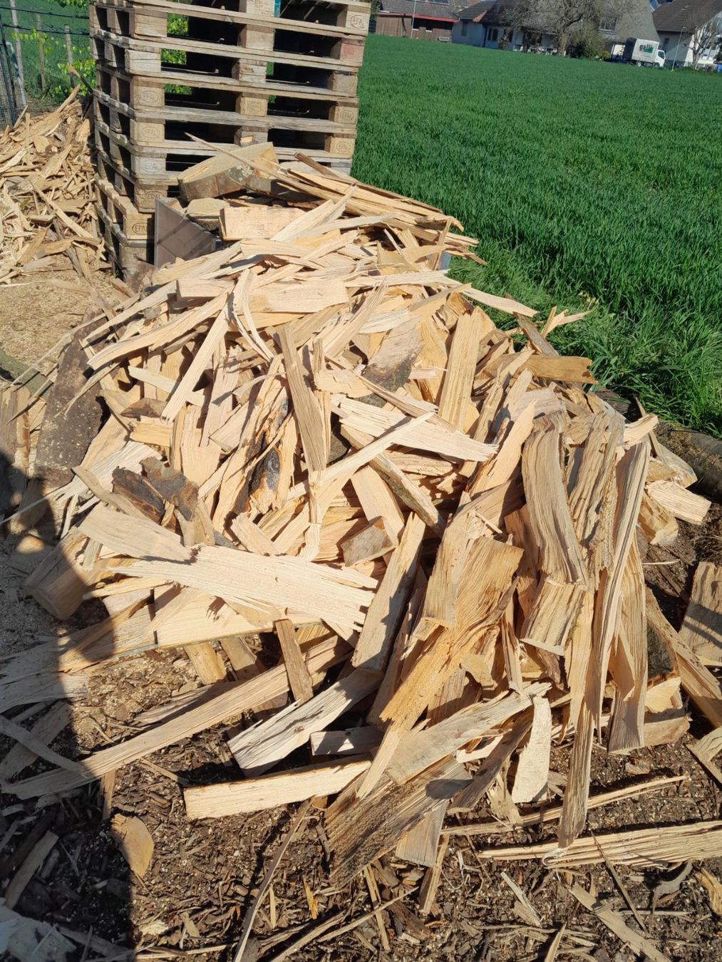 Holzartikel: Brennholz ab 1.- – Gebraucht aus Inkwil von karlheinz07