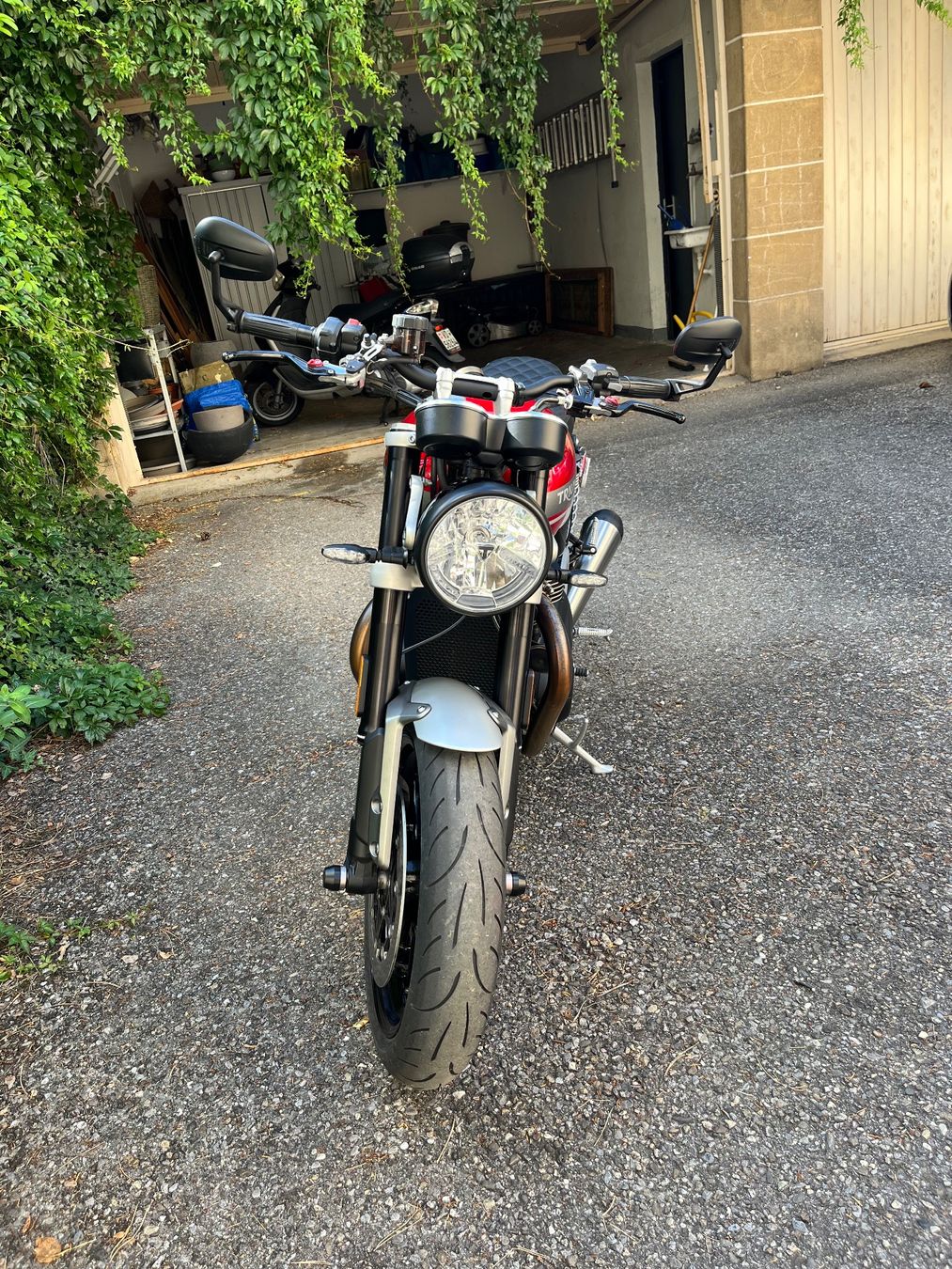 Triumph Strasse: Triumph Speed Twin 1200 – Gebraucht aus Lausanne von Limp5 3