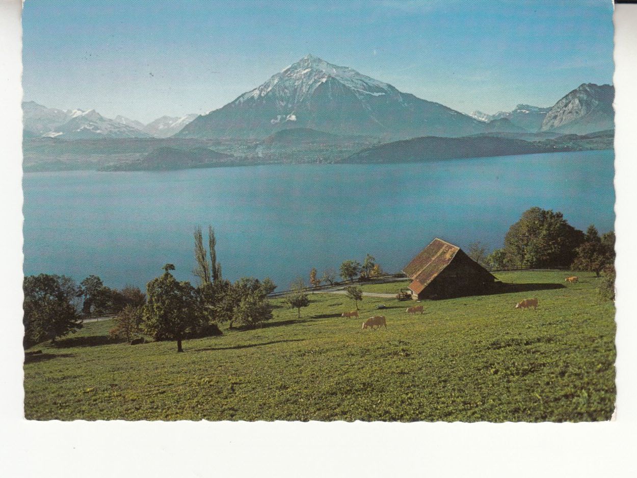 Ansichtskarten: Thunersee 1979 – Gebraucht aus Bürglen TG von StampGraf