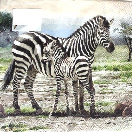 Tovaglioli: Serviette zebras (1273) 2Stk. – Nuovo (secondo la descrizione) da Schlatt TG venduto da kreativ-atelier