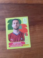 Panini POR 6